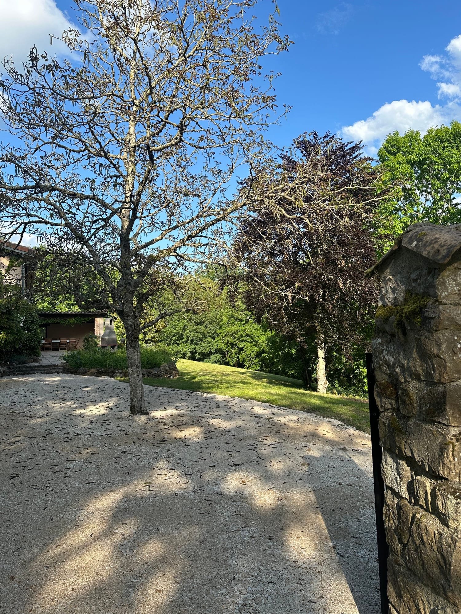 La cour gravillonnée et les arbres du jardin