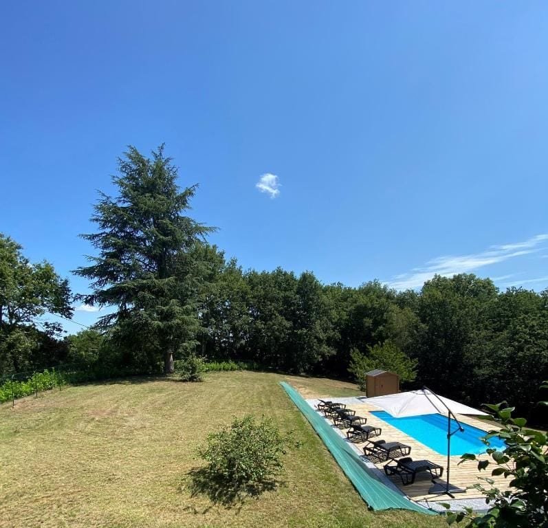 Le terrain en herbe avec la piscine au fond, entouré d’arbres